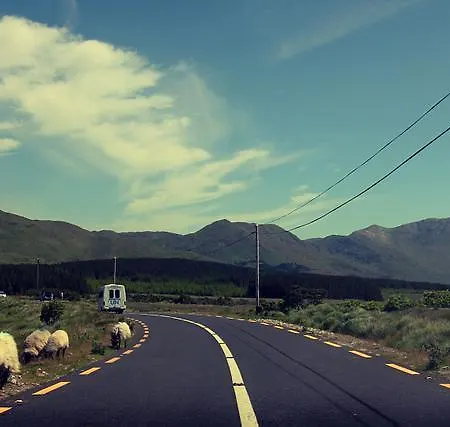 Bed & Breakfast The Convent 3*